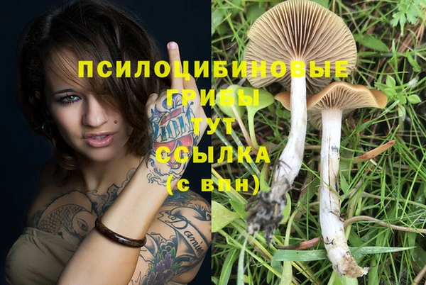 2c-b Белокуриха
