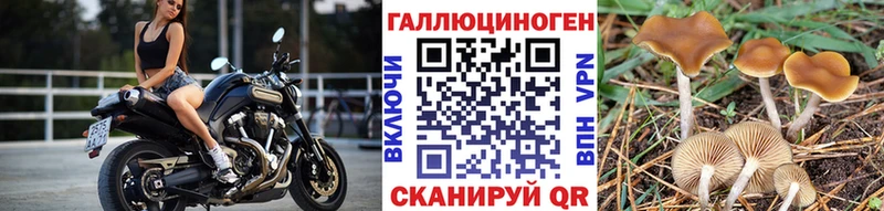 купить   Данилов  ссылка на мегу сайт  Галлюциногенные грибы ЛСД 